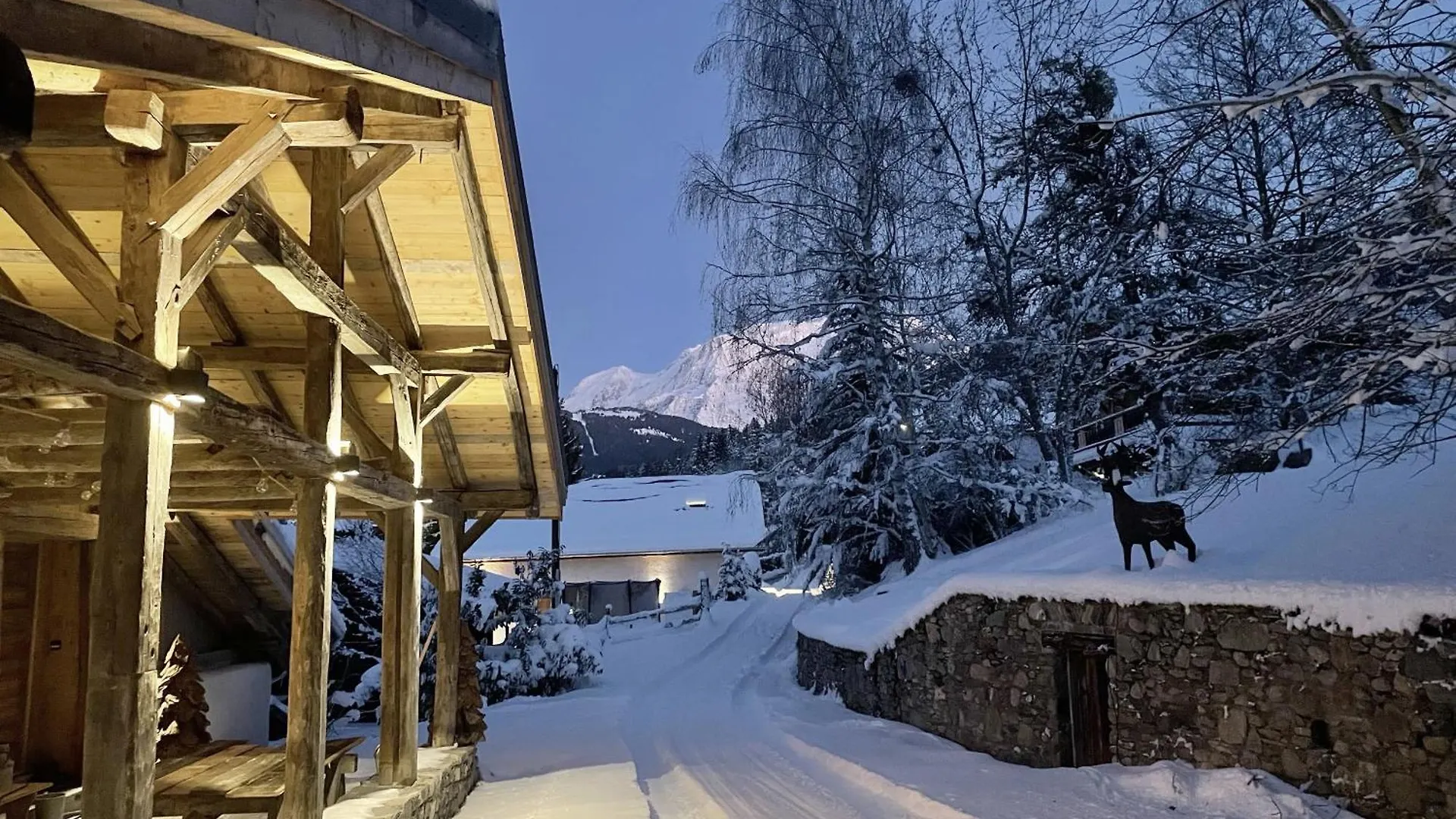 Ferme Des Choseaux - Grand Confort Et Ski Combloux 0*,  France